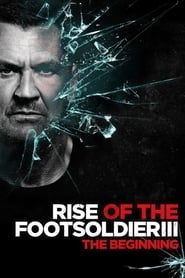Assistir Rise of the Footsoldier 3 online